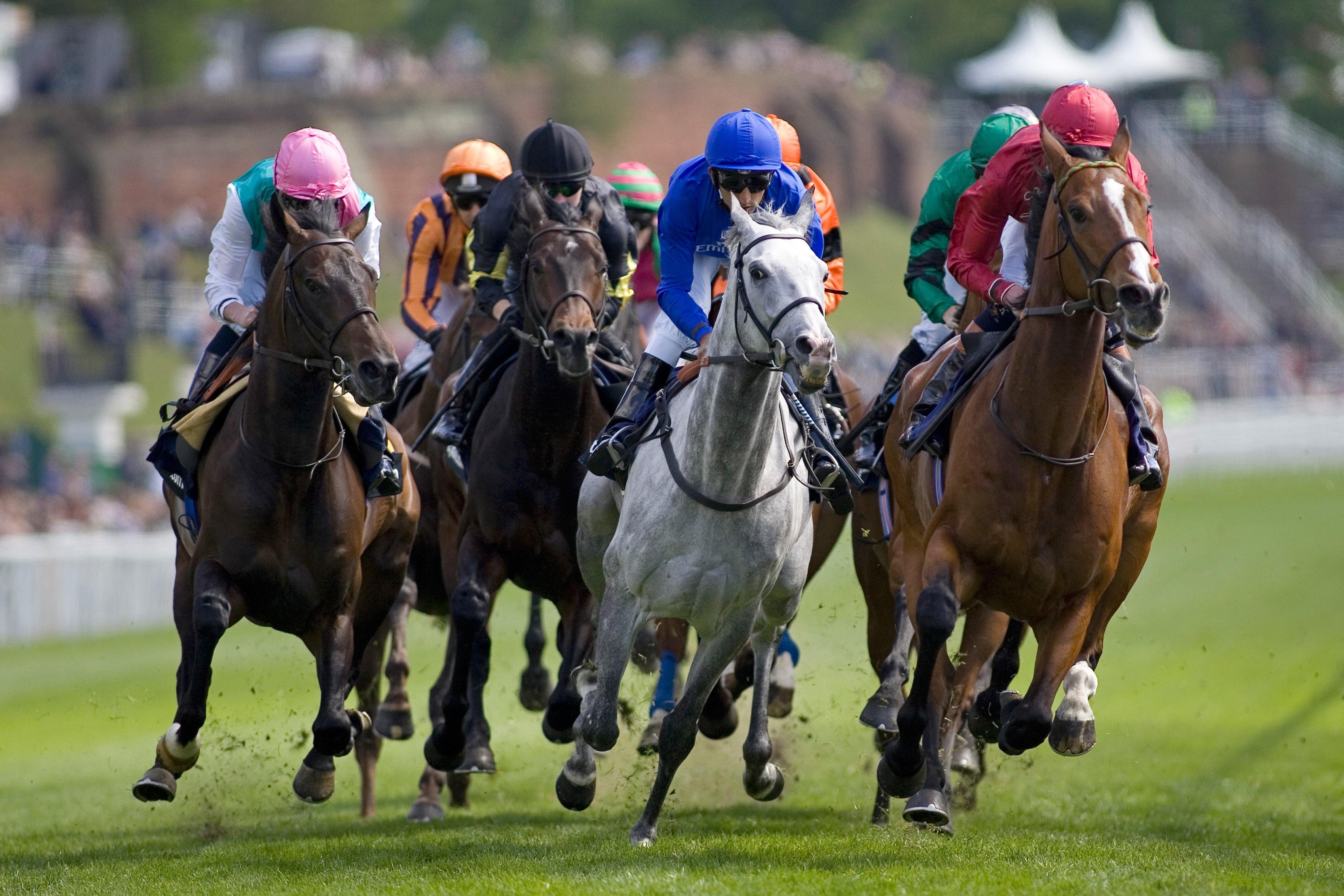 Holiday Inn Express, Chester Racecourse By Ihg Dış mekan fotoğraf